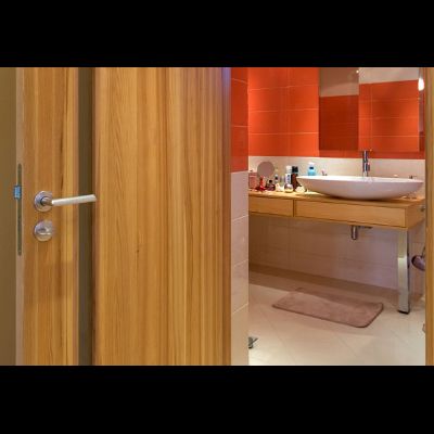 FLUSH DOORS